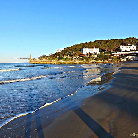 B&B La Formichina 페스키치 외부 사진
