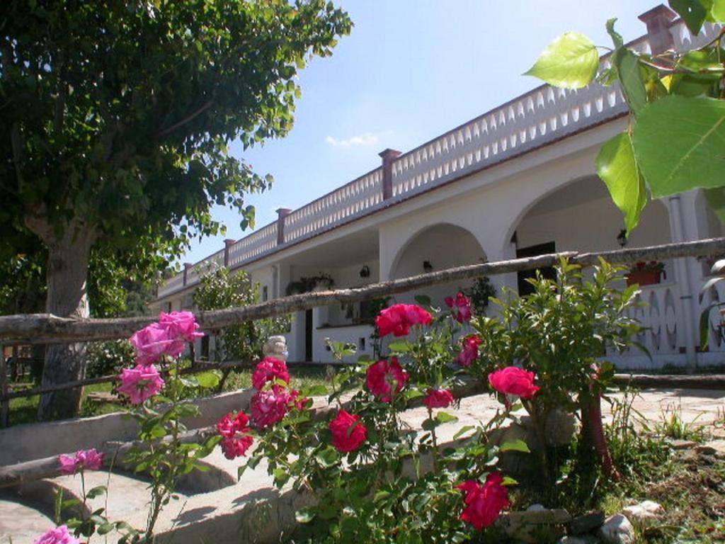 B&B La Formichina 페스키치 외부 사진